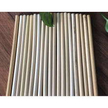 Reeds Straw 100% Biodegradable Plant Straws for Drinking